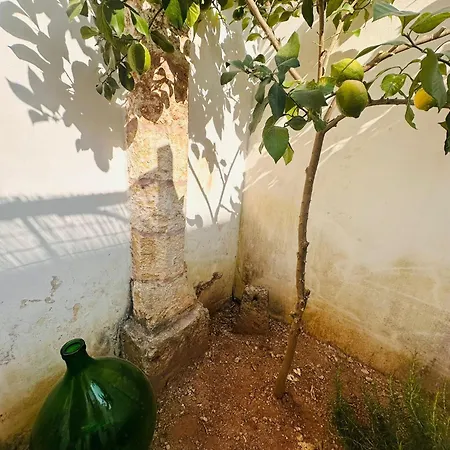 Alojamento de Acomodação e Pequeno-almoço Grace 3*