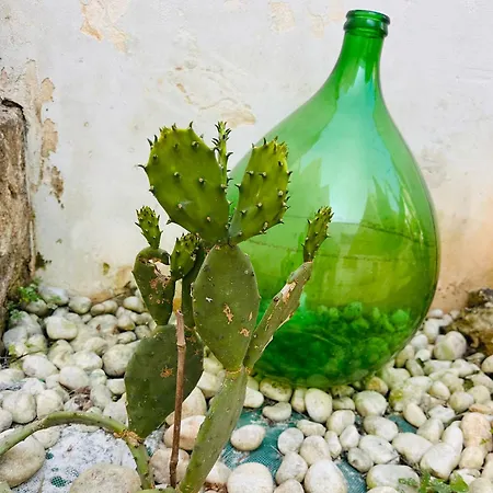 Grace Nocleg ze śniadaniem